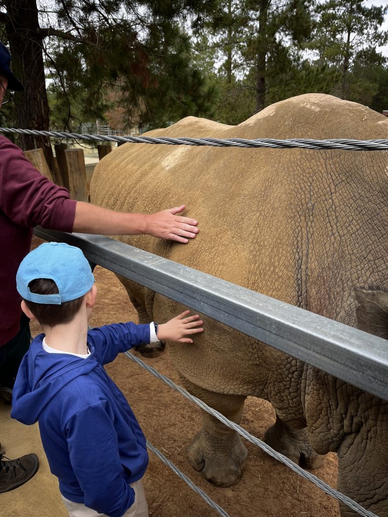 A child patting a rhino at Canberra zoo